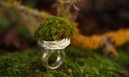 Jewelry Green